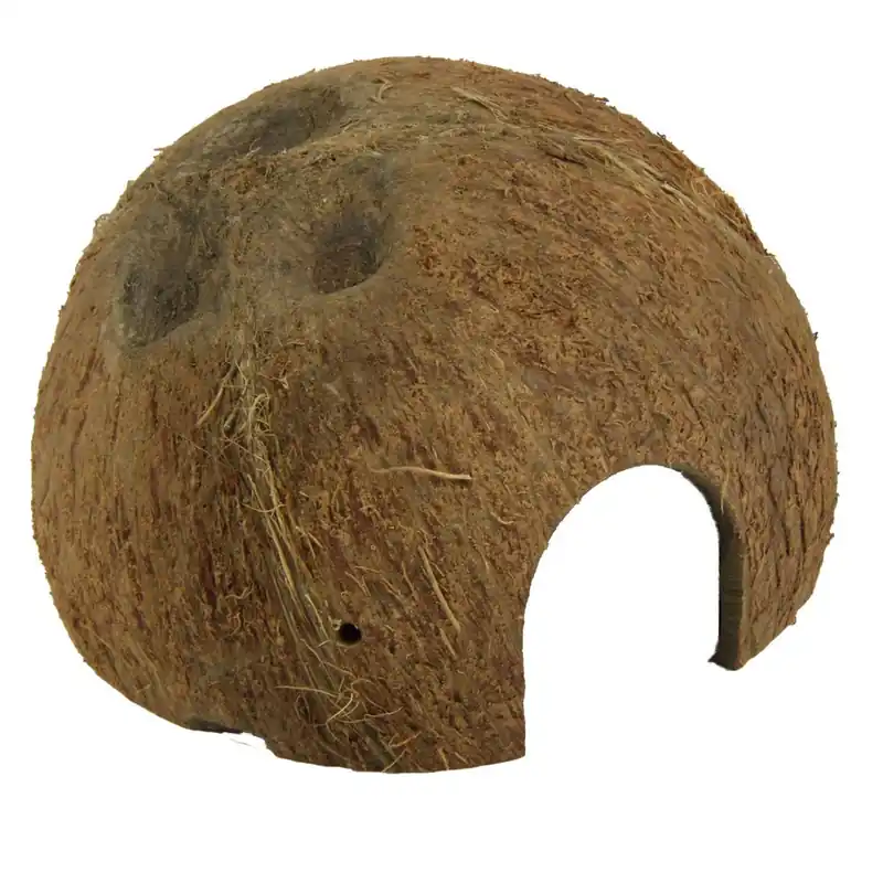 Günstig JBL Cocos Cava Größe M 1/2 Kokosnuss-Schale als Höhle für Aquarien und Terrarien