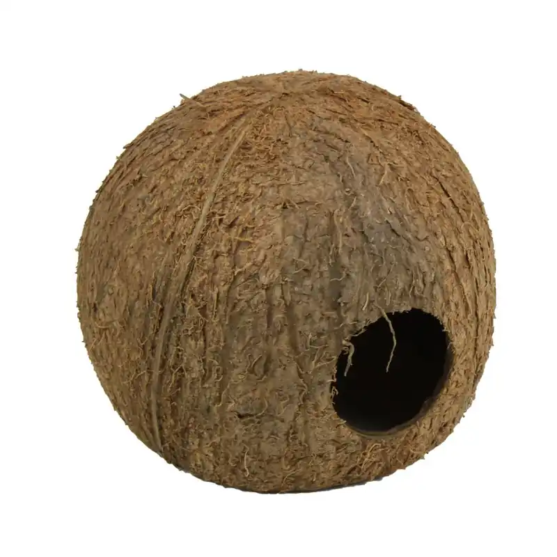JBL Cocos Cava Größe L 3/4 Kokosnuss-Schale als Höhle für Aquarien und Terrarien Sonderaktion