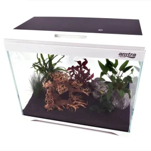 Modern Tank 40 Nano Aquarium Innenfilter LED Beleuchtung Heißes Angebot