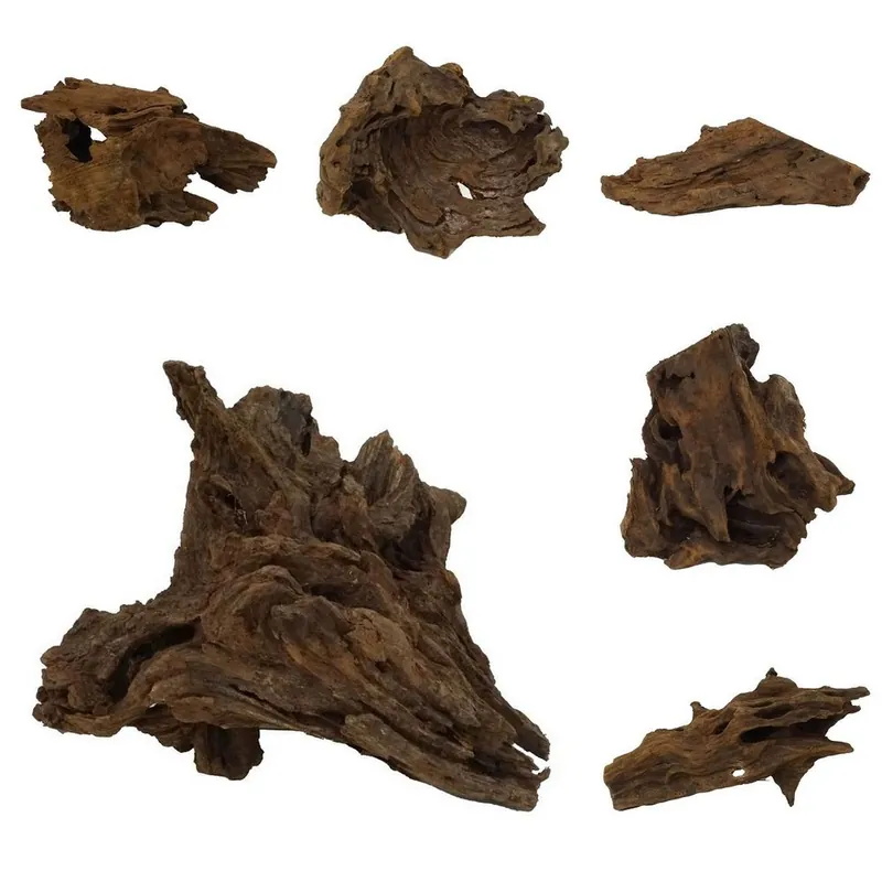 M Mangrovenwurzel 2 Stück 20-40 cm Holz Deko Aquascaping Wochenendangebot