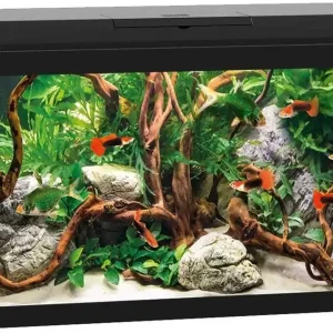 Günstig Aquarium Set Primo 60 LED Schwarz – Komplettaquarium