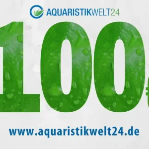 Nur Heute Gutschein 100€