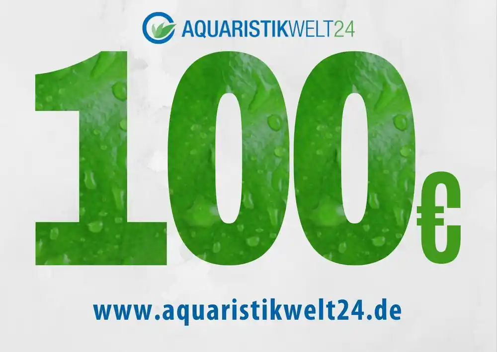 Nur Heute Gutschein 100€