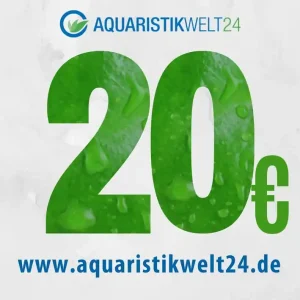 Neu Im Sortiment Gutschein 20€