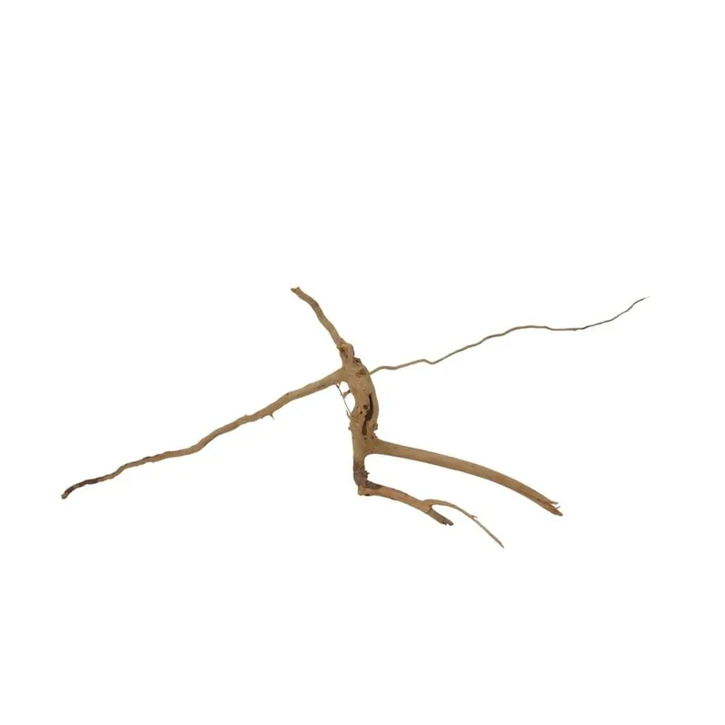 Preisknaller M Moorkienwurzel Nr.7322 Holz Deko Aquascaping
