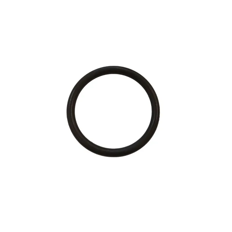Preiswert Ersatzteil Dichtung O-Ring für Tülle Teichfilter CPF CPA 2500 Teichpumpe CET 8000