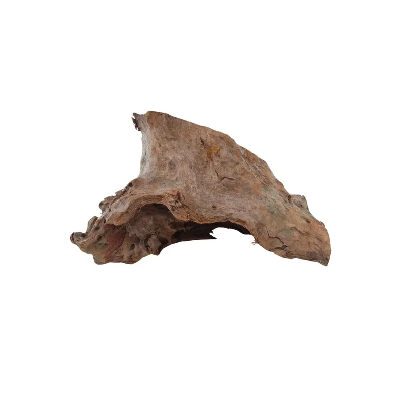L Mangrovenwurzel Nr.9758 Holz Deko Aquascaping Kracherpreis