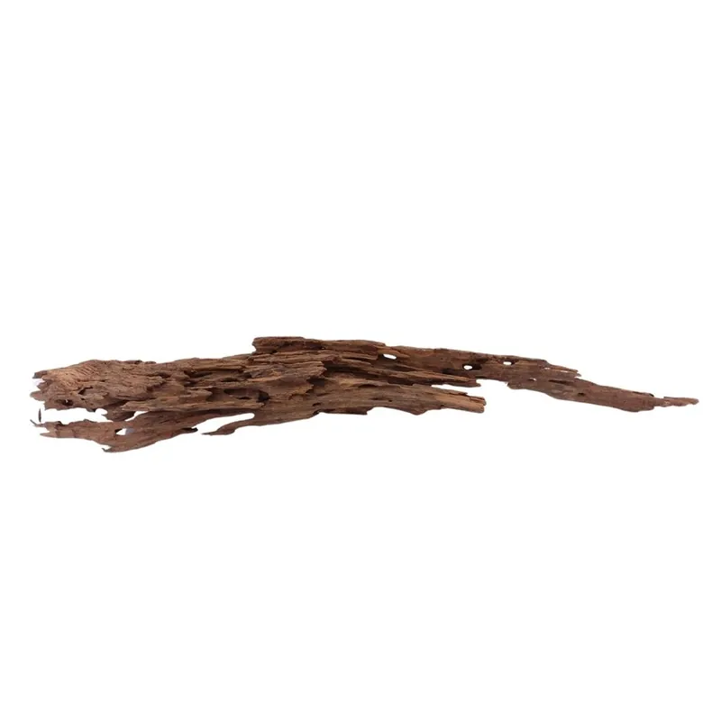 XL Honey Comb Wurzel Nr.1934 Holz Deko Aquascaping Geprüft