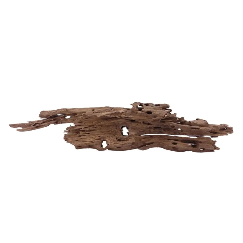 Begrenztes Angebot XL Honey Comb Wurzel Nr.1943 Holz Deko Aquascaping