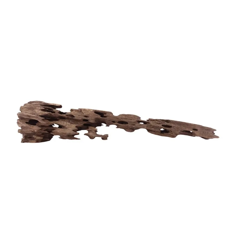 Schneller Versand XL Honey Comb Wurzel Nr.1947 Holz Deko Aquascaping