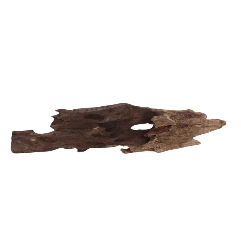 Preiswert L Honey Comb Wurzel Nr.2051 Holz Deko Aquascaping