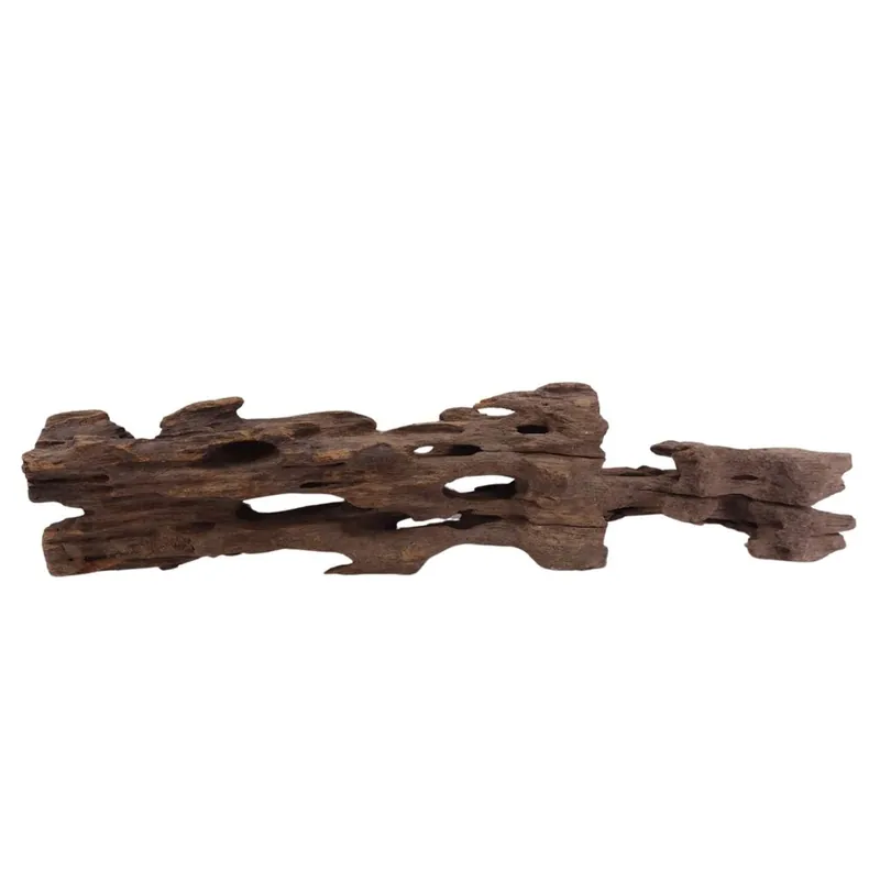 L Honey Comb Wurzel Nr.2064 Holz Deko Aquascaping Heißes Angebot