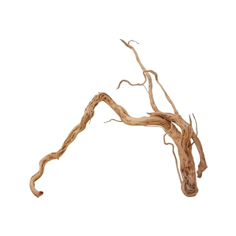 Garantierte Lieferung XL Drachen Wurzel Nr.2169 Holz Deko Aquascaping