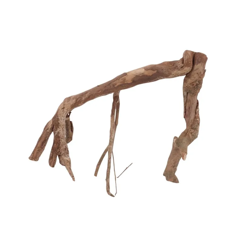 XL Talawa Wurzel Nr.2395 Neue Ware