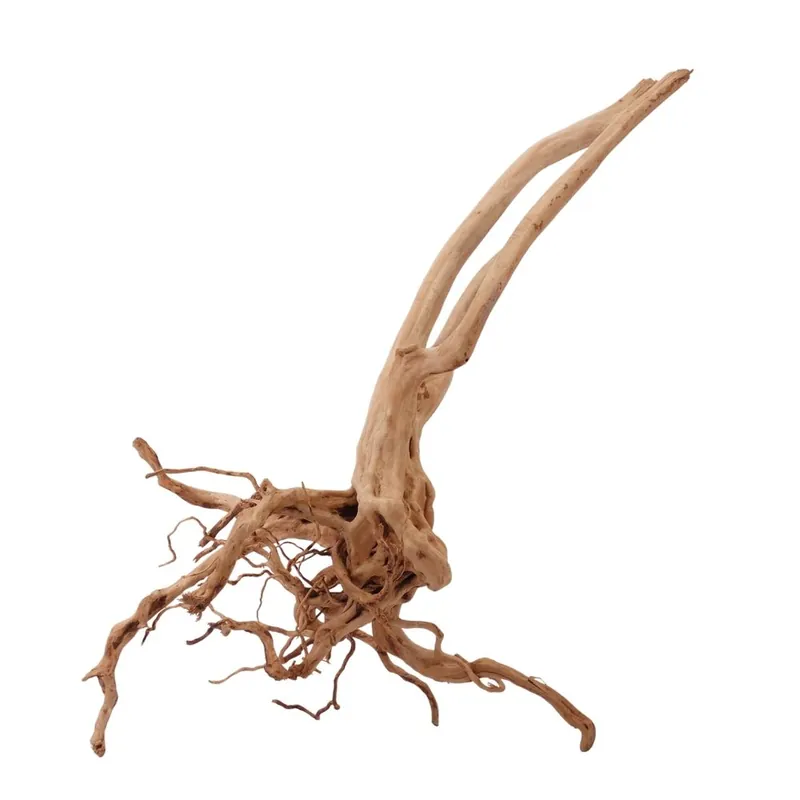 Top-Preis L Stump Wurzel Nr.2456 Holz Deko Aquascaping