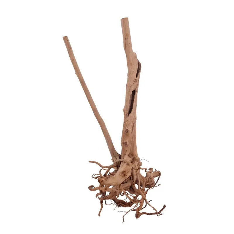 L Stump Wurzel Nr.2467 Holz Deko Aquascaping Bestpreis