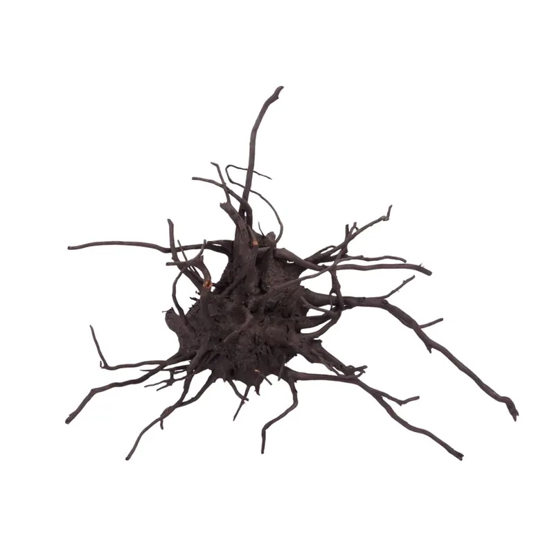 Must-Have XL Black Spider Wurzel Nr.2678 Fingerwurzel Echtholz Deko Aquascaping