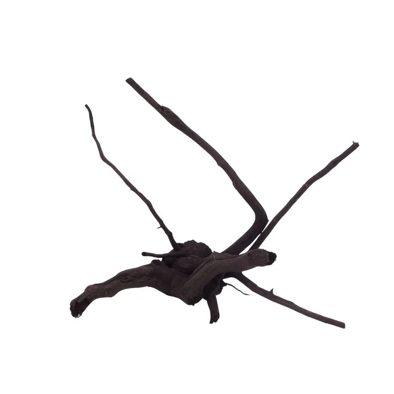 Top-Preis L Black Spider Wurzel Nr.2615 Fingerwurzel Echtholz Deko Aquascaping