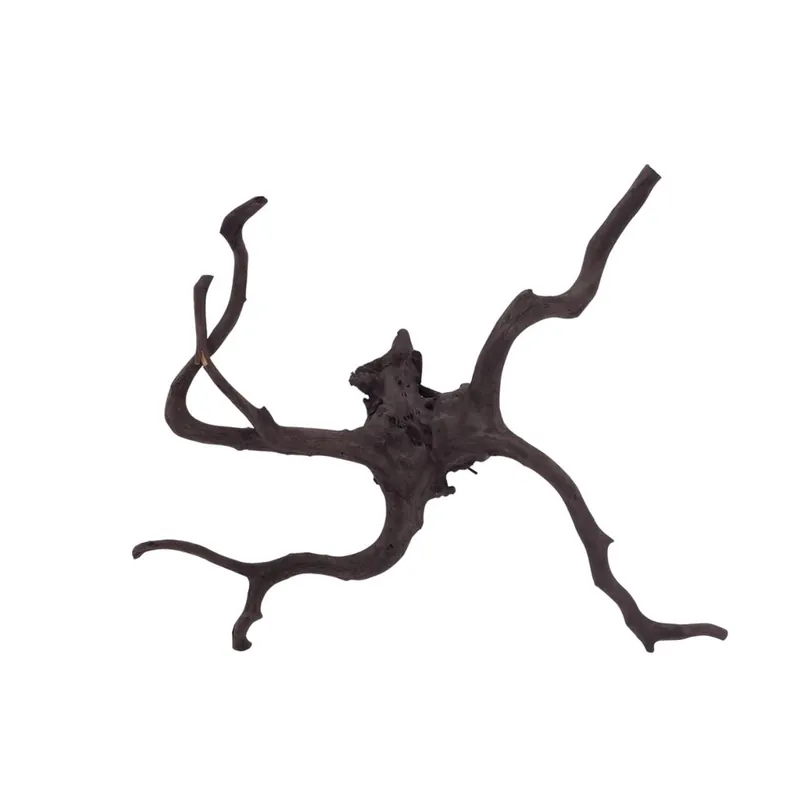 Neue Ware L Black Spider Wurzel Nr.2621 Fingerwurzel Echtholz Deko Aquascaping