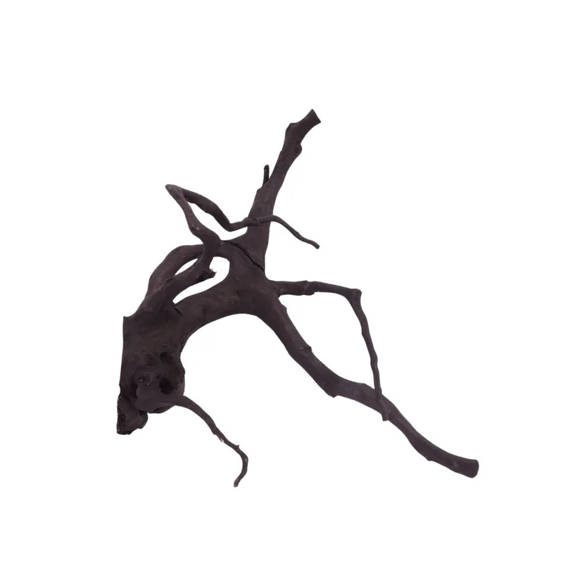 L Black Spider Wurzel Nr.2628 Fingerwurzel Echtholz Deko Aquascaping Sofort Bestellen
