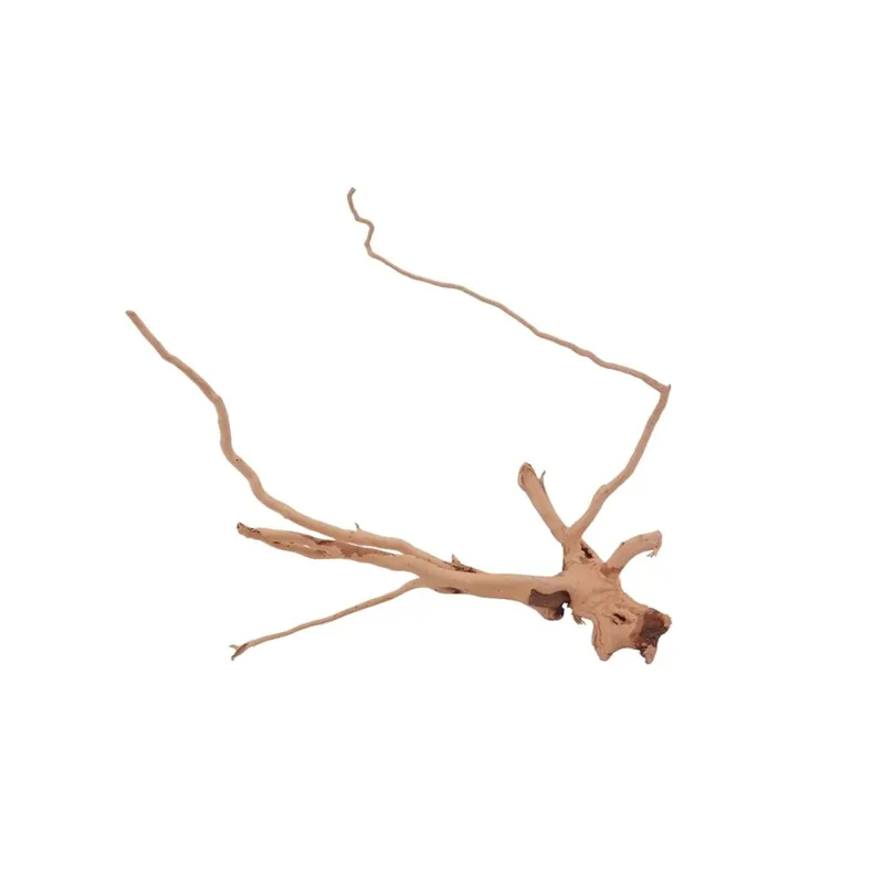 Direktkauf M Moorkienwurzel Nr.2716 Holz Deko Aquascaping