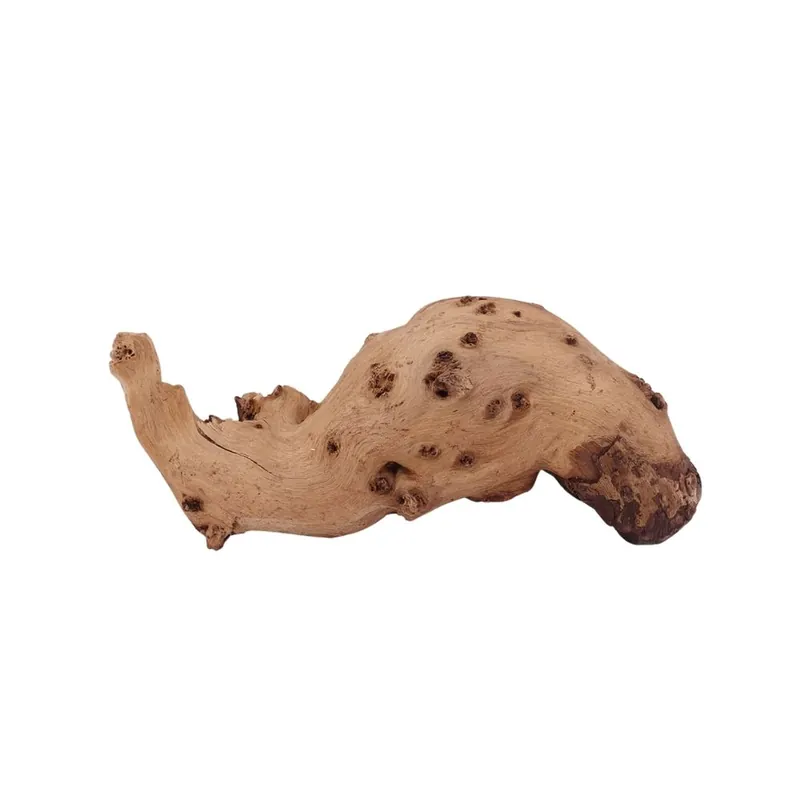 Beliebt M Mopani Wurzel Nr.2724 Holz Deko Aquascaping