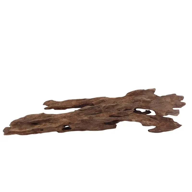 Schnäppchen L Honey Comb Wurzel Nr.3004 Holz Deko Aquascaping