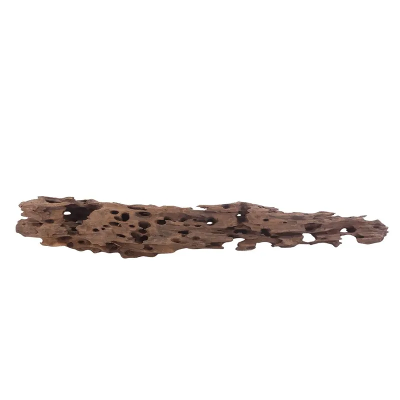 XL Honey Comb Wurzel Nr.3040 Holz Deko Aquascaping Zertifiziert
