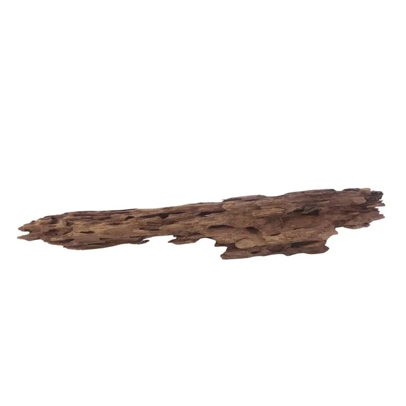 XL Honey Comb Wurzel Nr.3056 Holz Deko Aquascaping Nur Heute