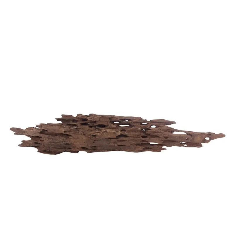 XL Honey Comb Wurzel Nr.3057 Holz Deko Aquascaping Expressversand
