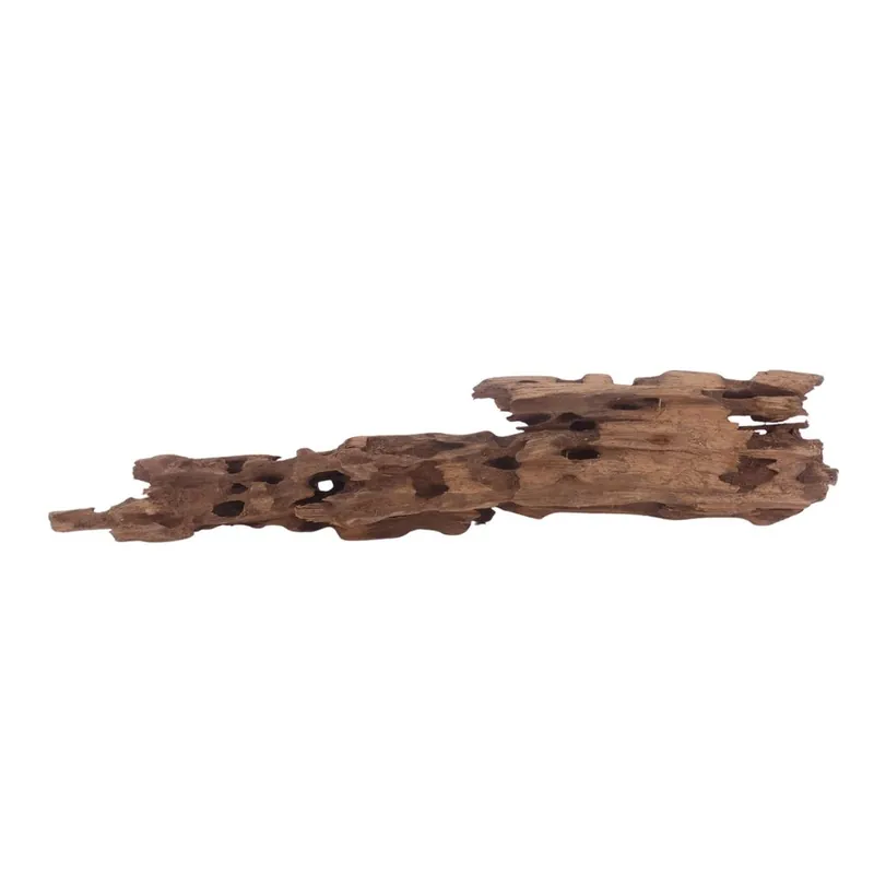 Super-Preis XL Honey Comb Wurzel Nr.3058 Holz Deko Aquascaping