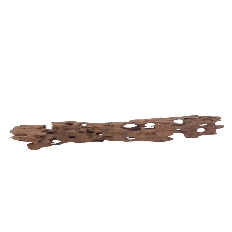 Begrenztes Angebot XL Honey Comb Wurzel Nr.3060 Holz Deko Aquascaping