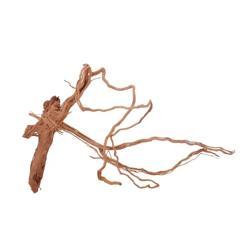Nur Für Kurze Zeit L Drachen Wurzel Nr.3192 Holz Deko Aquascaping