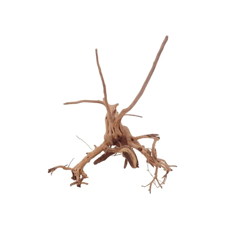 Preisreduziert M Siennawurzel Nr.3229 Wurzel Holz Aquarium Deko Aquascaping