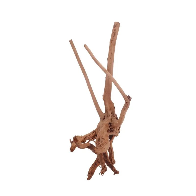 M Stump Wurzel Nr.3517 Holz Deko Aquascaping Wochenendangebot