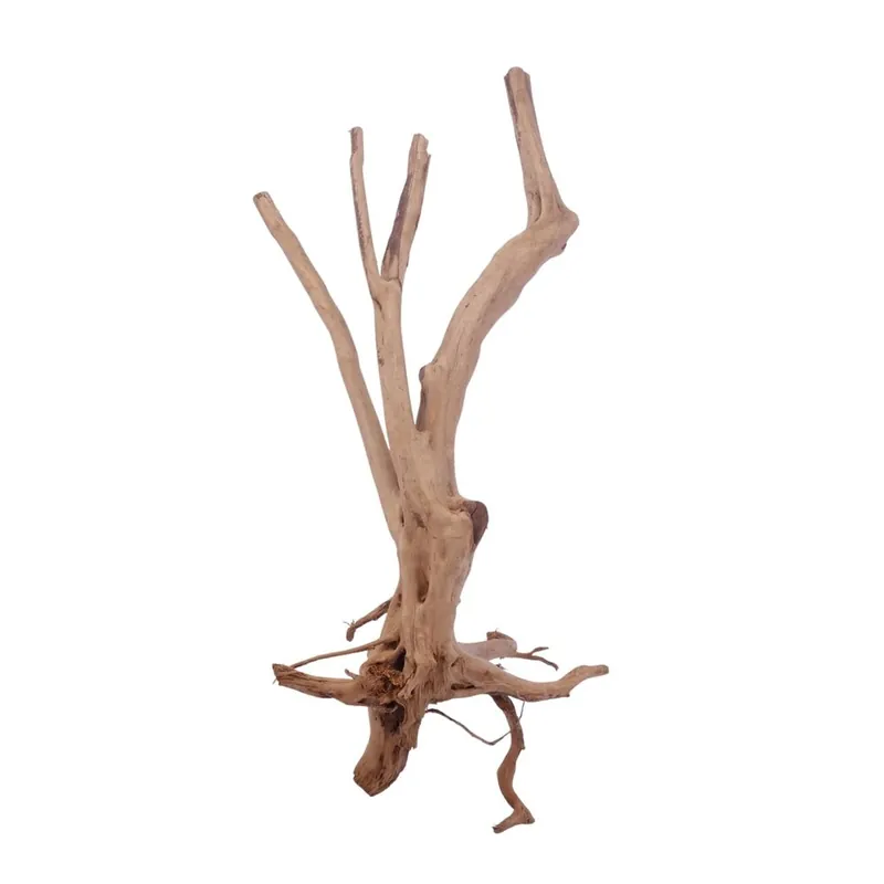 Zertifiziert M Stump Wurzel Nr.3522 Holz Deko Aquascaping