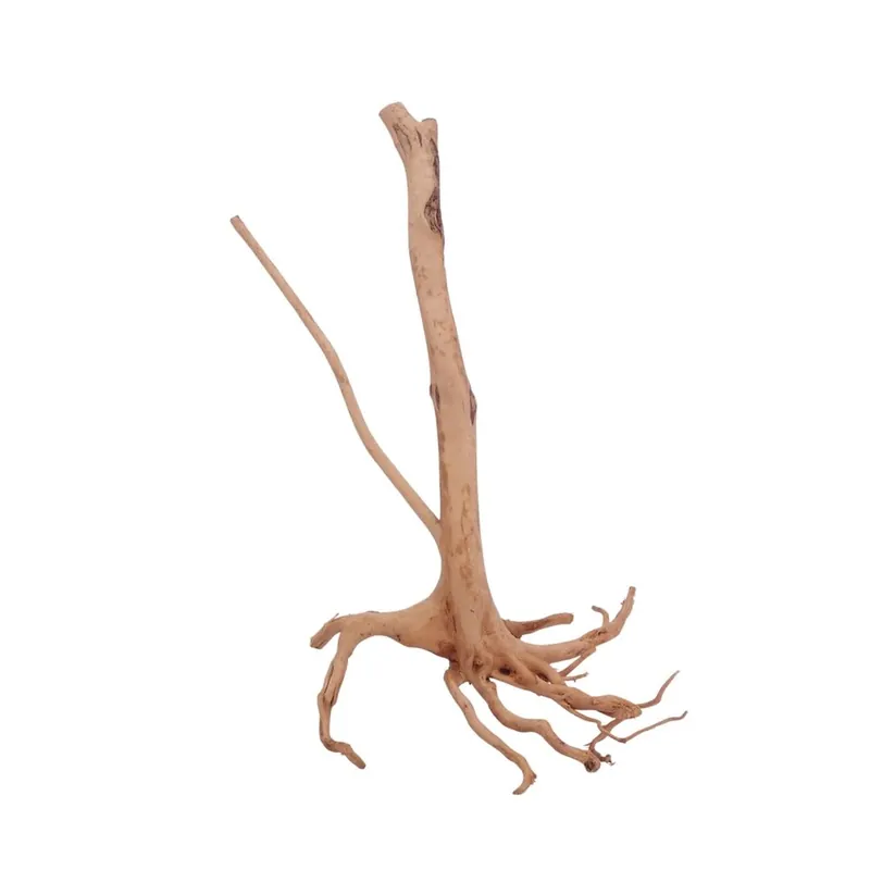 M Stump Wurzel Nr.3524 Holz Deko Aquascaping Top-Seller