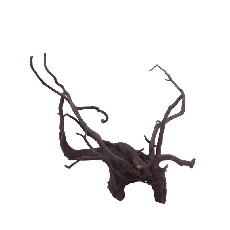 Direktkauf XL Black Spider Wurzel Nr.3737 Fingerwurzel Echtholz Deko Aquascaping
