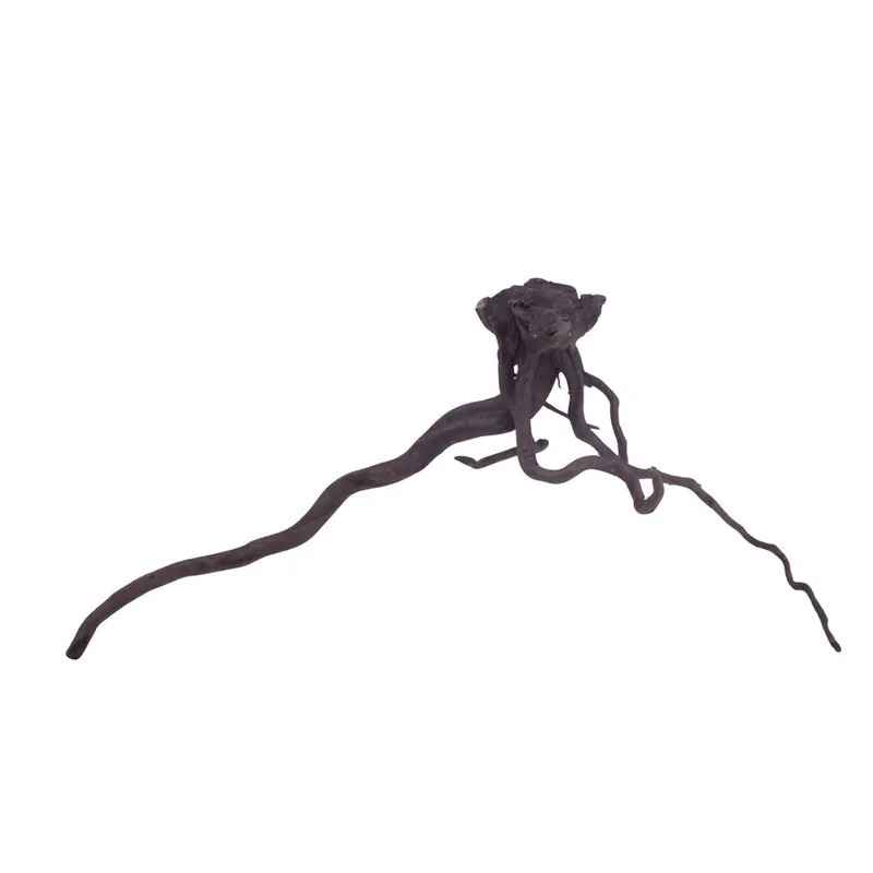 Meistverkauft XL Black Spider Wurzel Nr.3738 Fingerwurzel Echtholz Deko Aquascaping