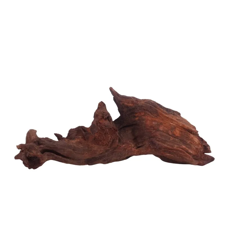 L Driftwood Flußwurzel Nr.3863 Holz Deko Aquascaping Jetzt Bestellen