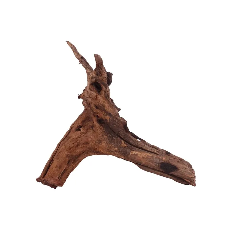L Driftwood Flußwurzel Nr.3891 Holz Deko Aquascaping Sonderangebot