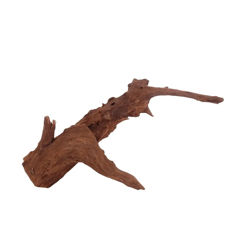 L Mangrovenwurzel Nr.4010 Holz Deko Aquascaping Direktkauf