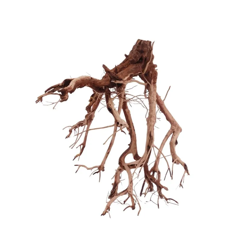 XL Flowerwurzel Nr.4147 Wurzel Holz Aquarium Deko Aquascaping Must-Have
