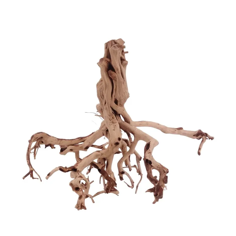 XL Flowerwurzel Nr.4149 Wurzel Holz Aquarium Deko Aquascaping Direkt Vom Hersteller