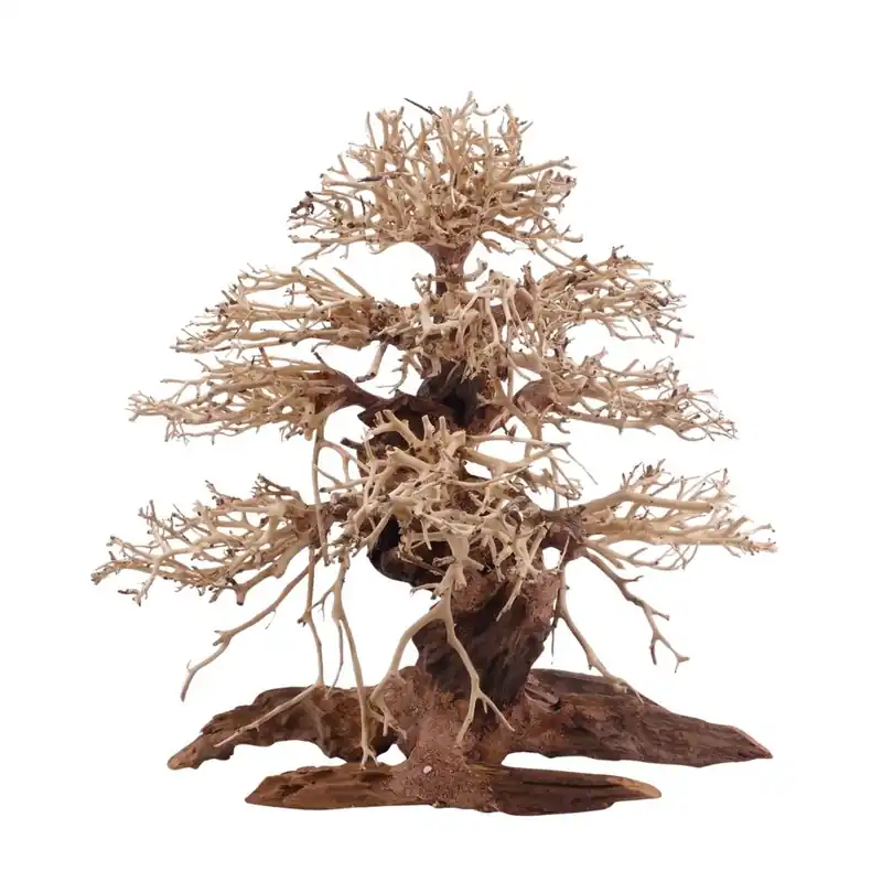 Premium Bonsai Baum XL 40x20x40 Wurzel Holz Aquarium Deko Aquascaping Super-Preis