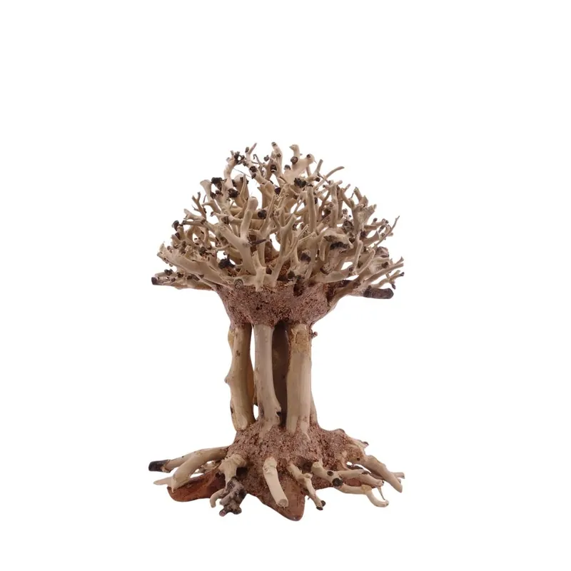 Beliebt Bonsai Mammut Baum M 10x10x15 cm Wurzel Holz Aquarium Deko Aquascaping