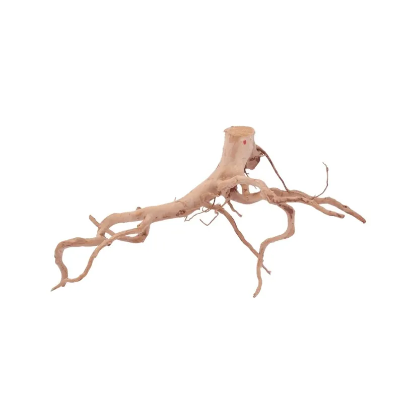 L Moorkienwurzel Nr.4228 Fingerwurzel Echtholz Deko Aquascaping Top-Seller