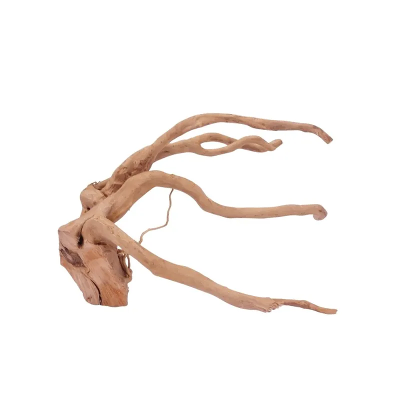 Neue Kollektion L Moorkienwurzel Nr.4243 Fingerwurzel Echtholz Deko Aquascaping