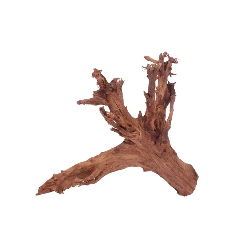 L Mangrovenwurzel Nr.4352 Holz Deko Aquascaping Mega-Angebot