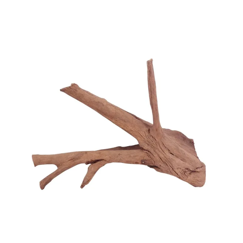 Kracherpreis L Mangrovenwurzel Nr.4360 Holz Deko Aquascaping